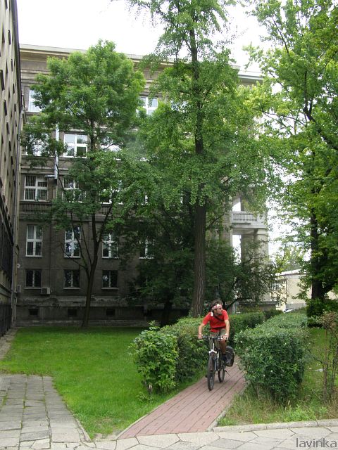 P6200424.JPG