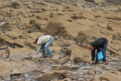Hunting for Mussels