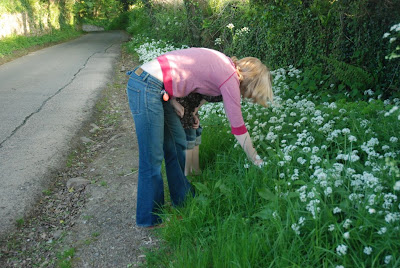 Foraging for Wild Garlic