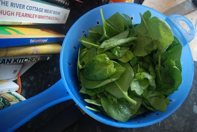 Fresh Spinach