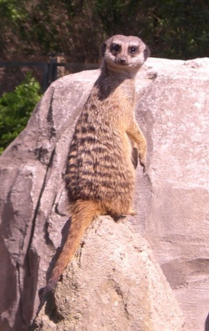 [ZOO LE 04-2009-03[4].jpg]