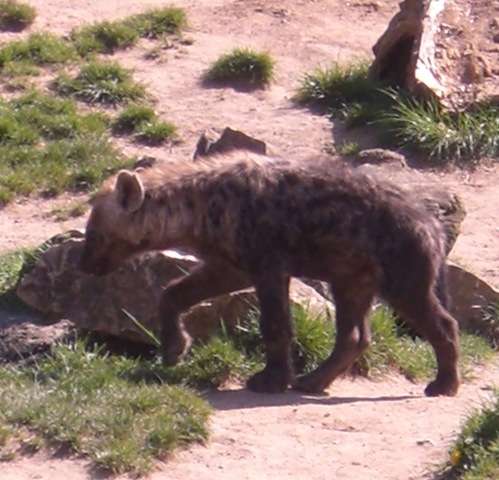 [ZOO LE 04-2009-08[3].jpg]
