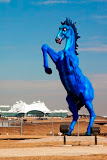blue mustang.jpg