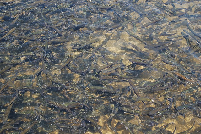[2010_08150283[2].jpg]