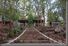 DSC_2795_resize