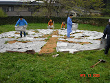 DSC01195.JPG