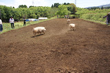 DSC08205.JPG
