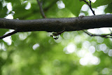 DSC08130.JPG
