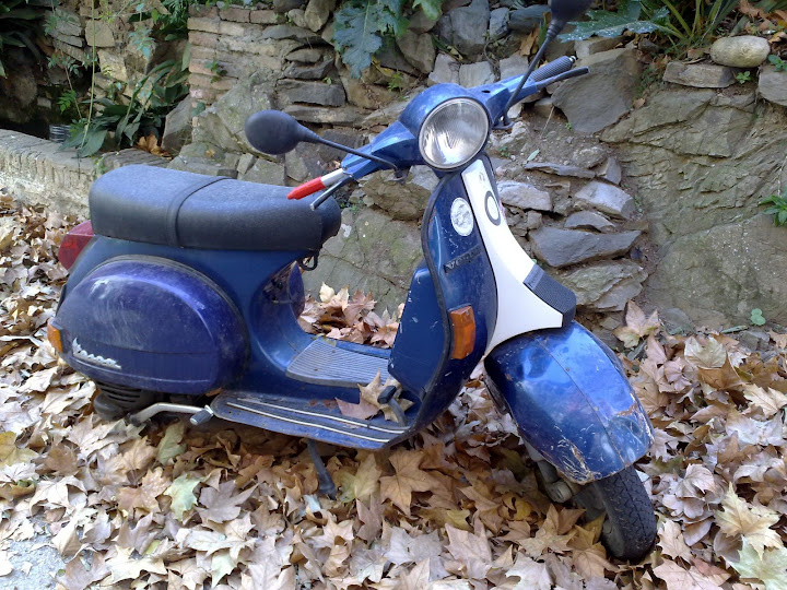 06122008293.jpg