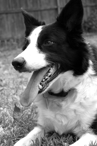 [DSC_0792[5].jpg]