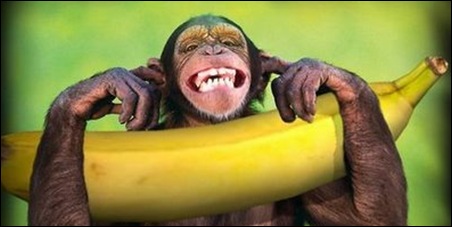 Uma banana para os trolls