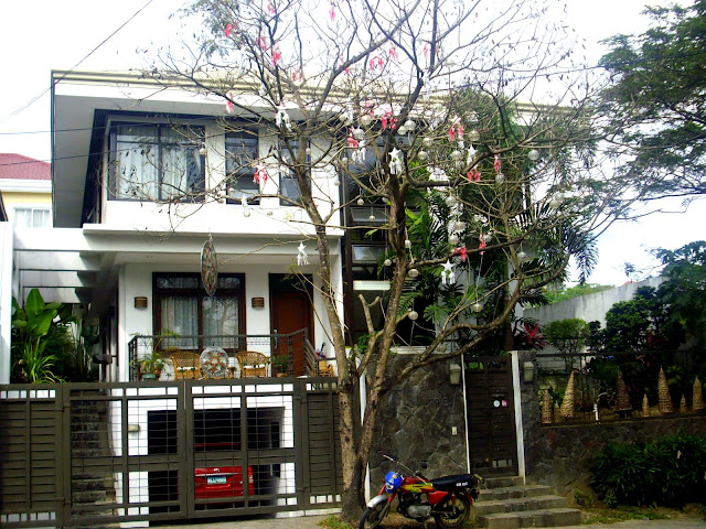 IMGP4815 JPG