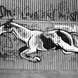 Bill_Daniel_SF_GRAF003.jpg Bill Daniel