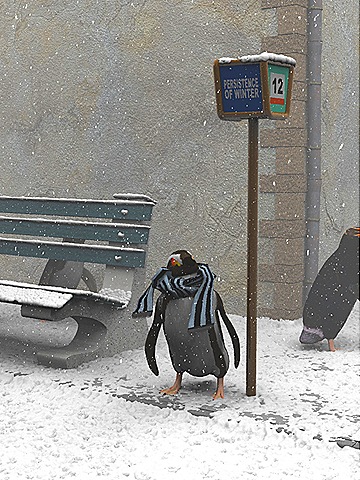 [cbwinter[10].jpg]