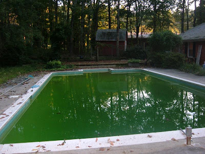 green_pool.jpg