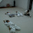 Shugyo dojo &ndash; 