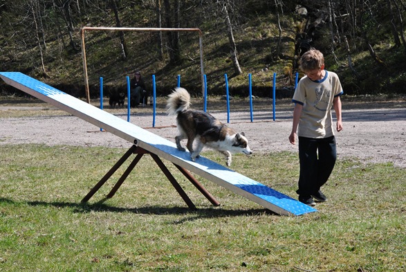 Skogtun 038 Skogtun 038