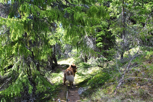 Blåfjell 057 Blåfjell 057