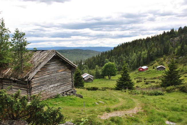 Vardefjell 024 Vardefjell 024