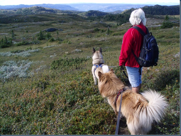 Blåfjell 016