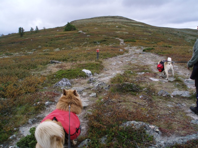 [Åkrefjell 005[2].jpg]