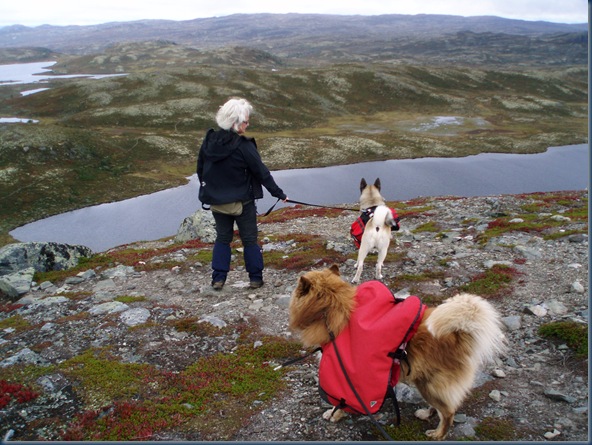 Åkrefjell 012