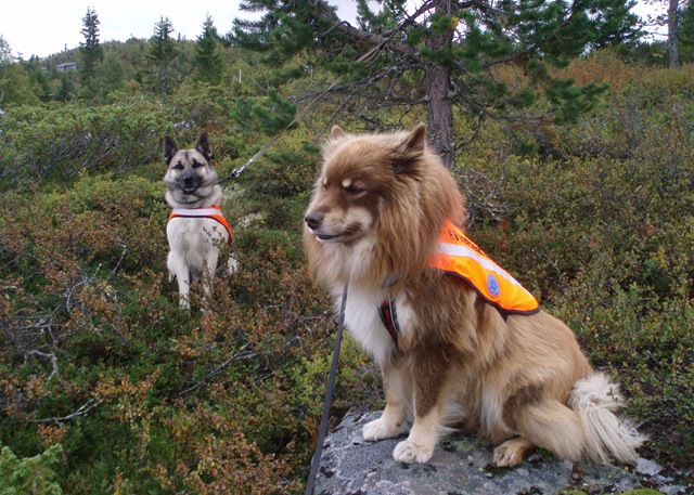 [Åkrefjell 026[2].jpg]