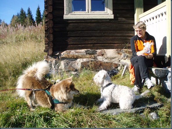 Garnås 020