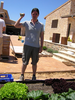 A punt de començar la tasca. Segona transplantada de