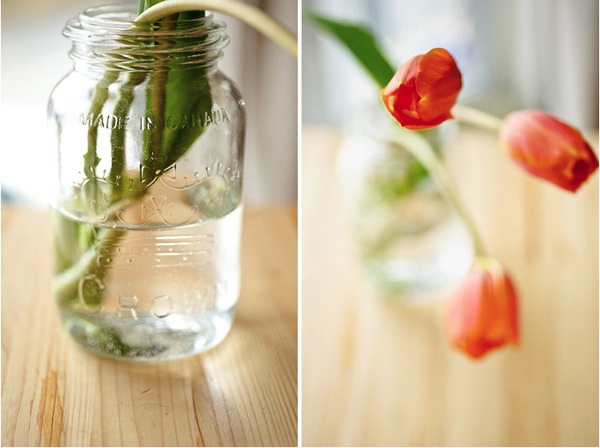 Tulips and Jar