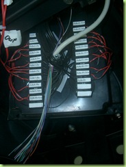 CIMG5977