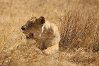 IMG_9963.JPG