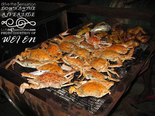 [Crab[1].jpg]