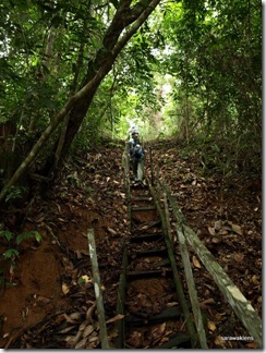 Gunung_Kanyi_Waterfalls_Trek_12