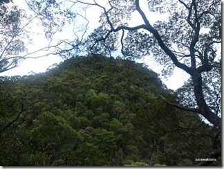 Santubong_Mountain_Kuching_Sarawak_55 Santubong_Mountain_Kuching_Sarawak_55