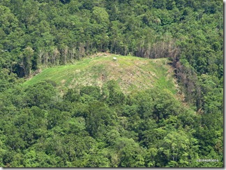 Hill_paddy_Padi_Bukit_Huma