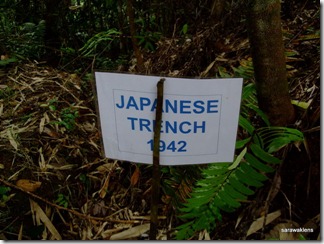 Japanese_trench_and_tunnel_1942_Gunung_Jagoi_2