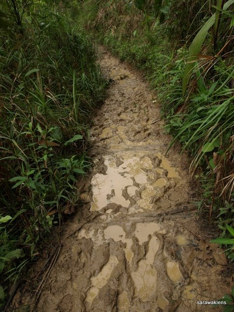 [Muddy_wet_trail[5].jpg]