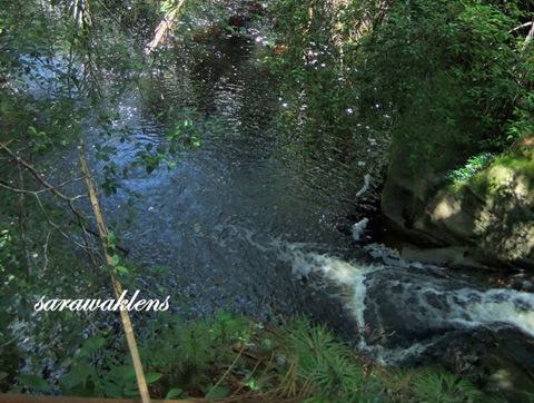 Tajor_Waterfall_Bako_National_Park_04 Tajor_Waterfall_Bako_National_Park_04