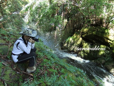 Tajor_Waterfall_Bako_National_Park_03