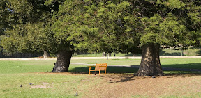 _MG_2545.jpg