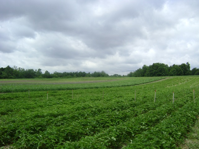 [DSC063994.jpg]