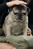 DSC_0121.jpg