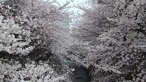 ケツメイシ の掲示板投稿写真＆画像