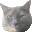 [pri-blog[2].gif]
