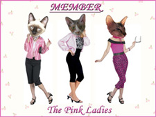 Pink Ladies