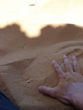 Jugando en tu playa