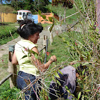 Trabajando un 1ro de Enero
