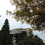 La Plata La Plata