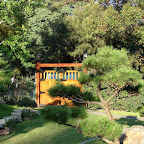 Jardín Japonés Jardín Japonés